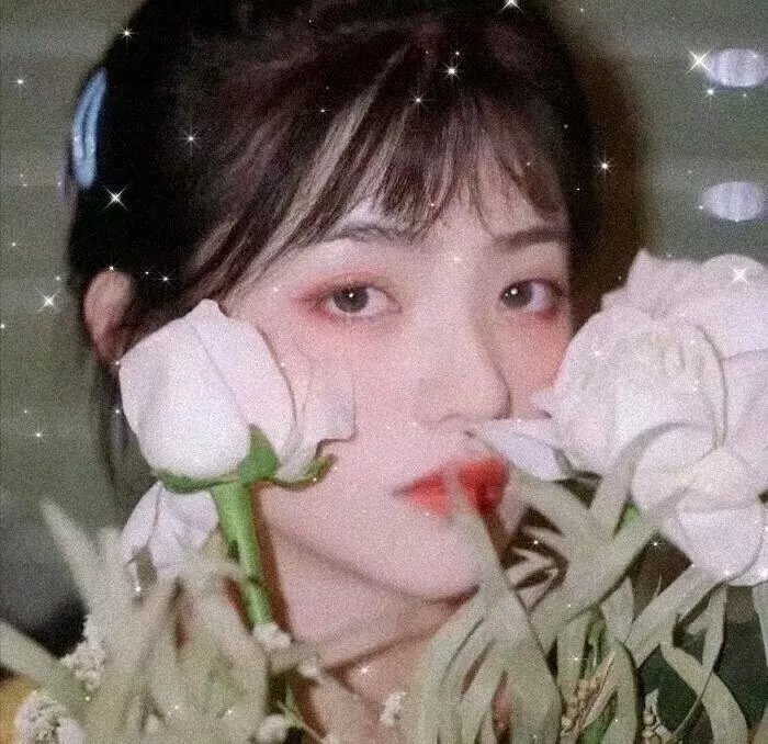 渡清欢